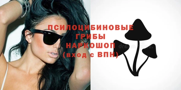 гидра Балахна