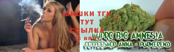 ГАЛЛЮЦИНОГЕННЫЕ ГРИБЫ Баксан