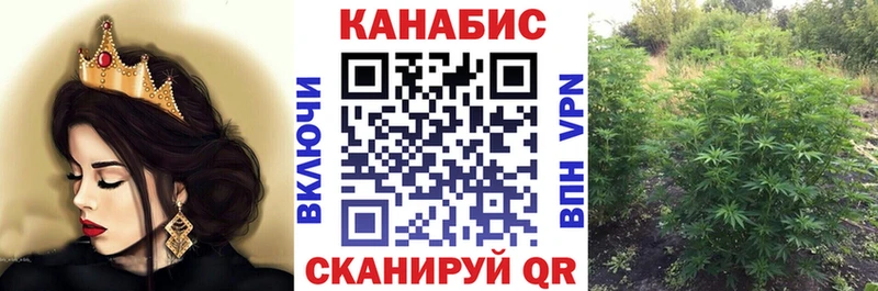 наркошоп  Лабинск  Каннабис индика 